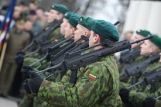Армия Литвы приступила к активной фазе национальных учений "Удар молнии"