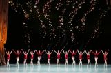 "Русские сезоны" уже точно пройдут в Италии