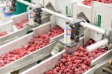 В Белоруссии актуален вопрос наращивания производства плодовой продукции