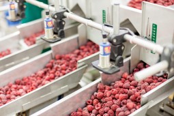 В Белоруссии актуален вопрос наращивания производства плодовой продукции