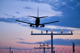 Ростех разработал систему защиты пассажирских самолетов от птиц